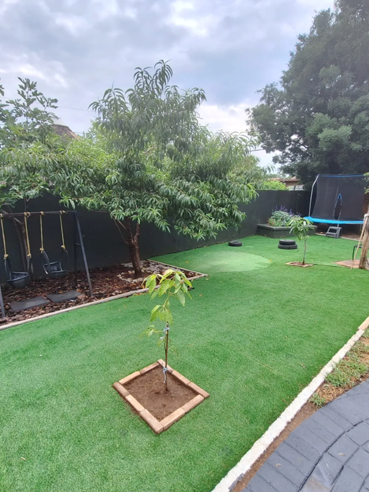 Outdoor Play Area 2